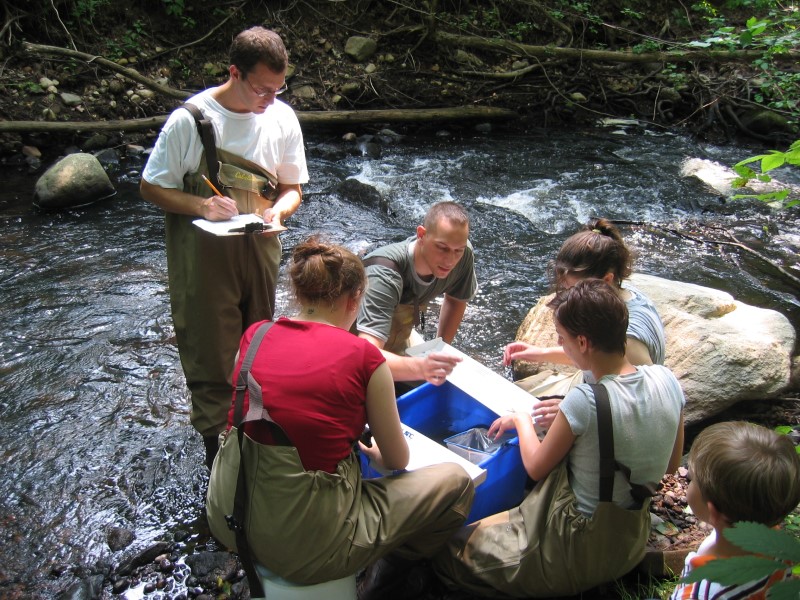 biologists measure fish
